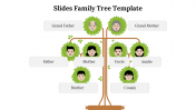 85503-Google-Slides-Family-Tree-Template_05