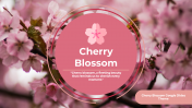 Cherry Blossom PowerPoint And Google Slides Templates