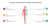 Best Human Anatomy PowerPoint Presentation Template