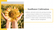 86152-Sunflower-Slides_03