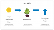 Best Bio Slide PowerPoint Template For Photosynthesis