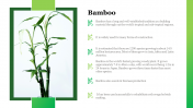 Stunning Bamboo PowerPoint Theme Presentation Template