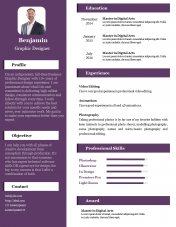 Effective Resume PowerPoint Presentation PPT Template