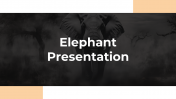 Elephant PPT Presentation And Google Slides Themes
