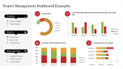 Project Management Dashboard Examples PPT & Google Slides