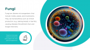 86588-Microbiology-Templates-Free-Download_04