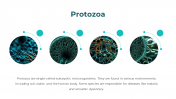 86588-Microbiology-Templates-Free-Download_06