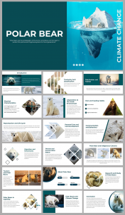 Polar Bear PPT Presentation and Google Slides Templates