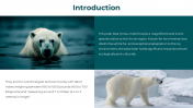 86660-Polar-Bear-PowerPoint-Template_02