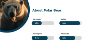 86660-Polar-Bear-PowerPoint-Template_15