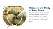 86660-Polar-Bear-PowerPoint-Template_16