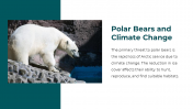 86660-Polar-Bear-PowerPoint-Template_18