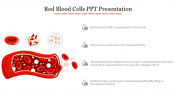 Red Blood Cells PPT Presentation Template & Google Slides