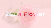 87020-Rose-Flower-PPT_01