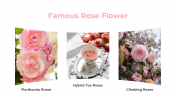 87020-Rose-Flower-PPT_07