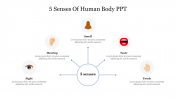 Creative 5 Senses Of Human Body PPT Presentation Slide 