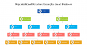 Organizational Structure Examples Small Business Slide
