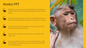 Monkey PowerPoint Template for Google Slides Presentation
