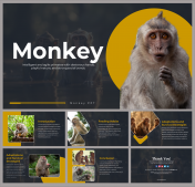 Monkey PPT Presentation And Google Slides Templates