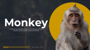 Monkey PPT Presentation And Google Slides Templates