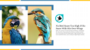 Creative PowerPoint Presentation On Birds Template 