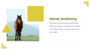 88528-Horse-Template-PowerPoint_04