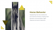88528-Horse-Template-PowerPoint_09