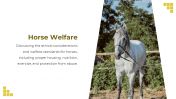 88528-Horse-Template-PowerPoint_13
