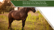 Best Horse PowerPoint Background Presentation Template 