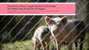 Effective Background PowerPoint Pig Presentation Slide