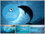 Dolphin Background PowerPoint And Google Slides Themes