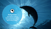 88951-Dolphin-PowerPoint-Background_01