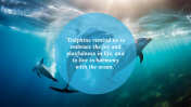 88951-Dolphin-PowerPoint-Background_03