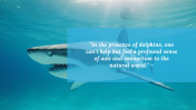 88951-Dolphin-PowerPoint-Background_04