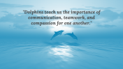 88951-Dolphin-PowerPoint-Background_05