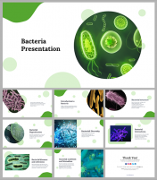 Bacteria PowerPoint Presentation and Google Slides Templates