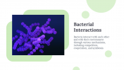 88986-Bacteria-Google-Slides_07