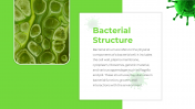 88988-Bacteria-PPT-Template_03