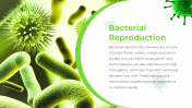 88988-Bacteria-PPT-Template_04