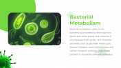 88988-Bacteria-PPT-Template_05