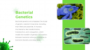 88988-Bacteria-PPT-Template_06