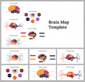 Brain Map PowerPoint Presentation And Google Slides