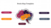 89172-Brain-Map-Template_03