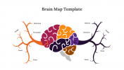 89172-Brain-Map-Template_04