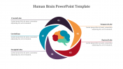 Download Free Human Brain PPT Template and Google Slides