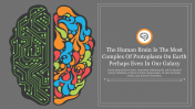 Effective Brain Background PowerPoint Template Slide 