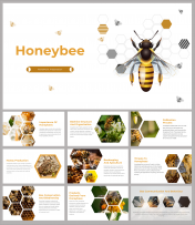 Honey Bee PPT Presentation And Google Slides Templates