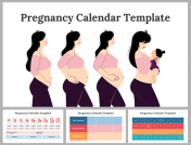 Creative Pregnancy Calendar PowerPoint And Google Slides