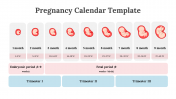 89543-Pregnancy-Calendar-Template_02