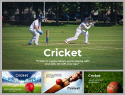 Cricket Background Presentation and Google Slides Themes